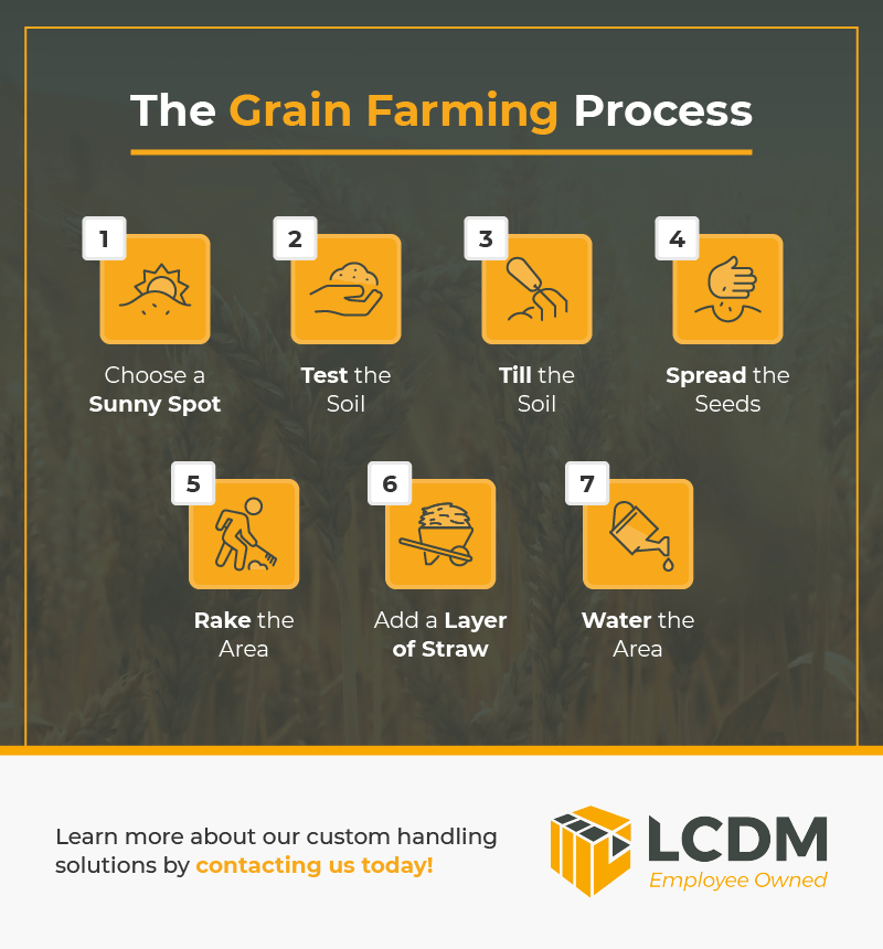 The Grain Farming Process