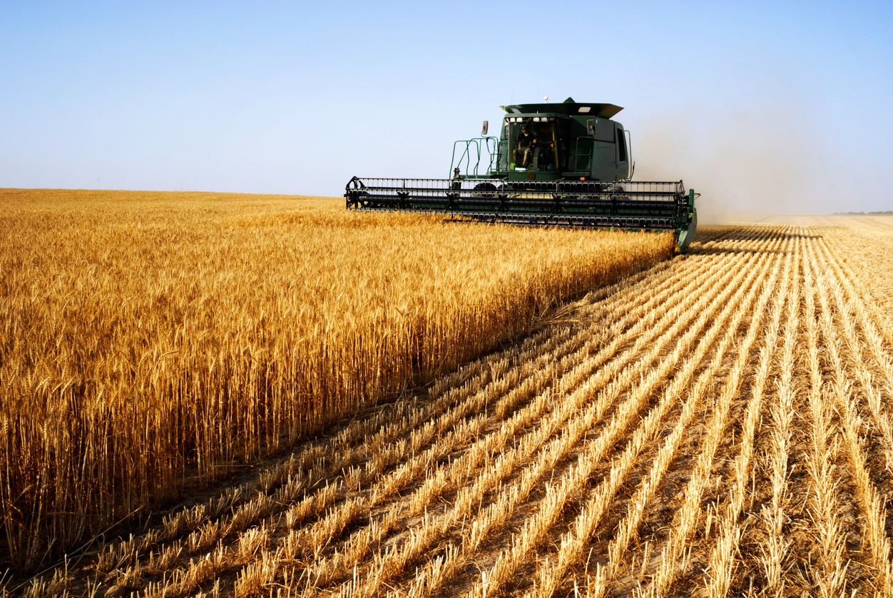 A Seasonal Guide to Grain Farming